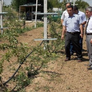 Atil Araziyi Alip Kentin En Buyuk Elma Bahcesine Donusturdu Karabuk Haberler