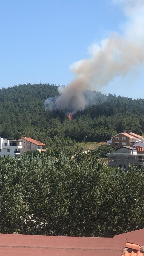 Bursa'da orman yangını! Bir kişi gözaltına alındı - Resim : 1