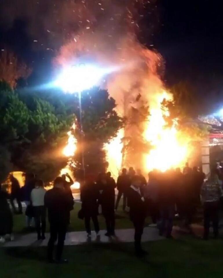 İzmir'de akılalmaz olay! Meydandaki ağaçlar yakıldı - Resim : 1