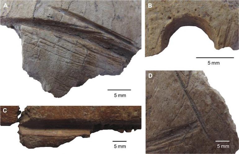 Göbeklitepe'de kafatası kültü keşfedildi - Resim : 1