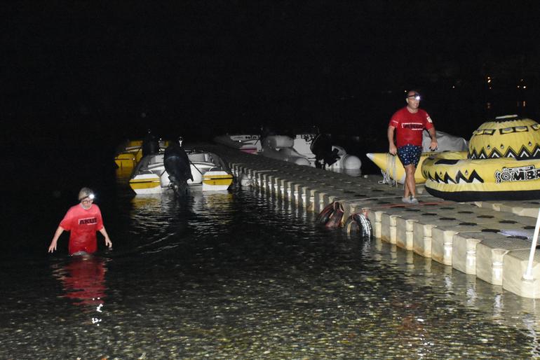 Bodrum'da siyah kuğu alarmı - Resim : 1