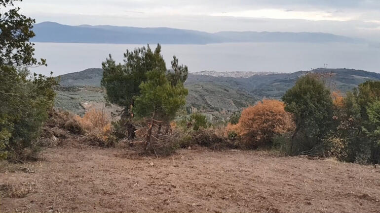 Devlet arazilerine kondular! Çoban Ali amcadan şoke eden iddialar - Resim : 1