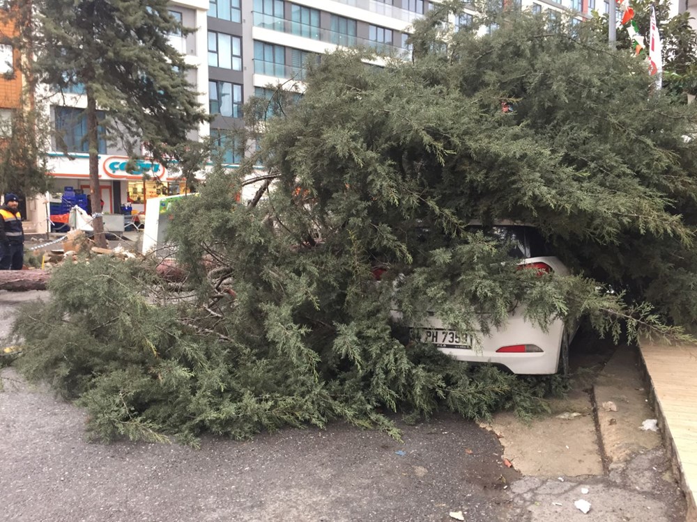 İstanbul'u fırtına vurdu! Ağaç insanların üzerine devrildi - Resim : 2