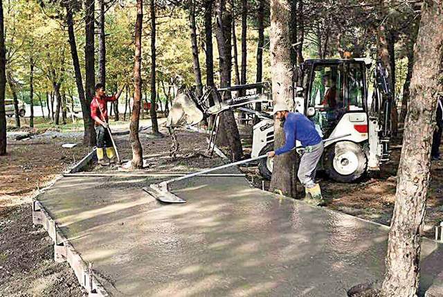 Ormanı betonla kapladılar ! - Resim : 1