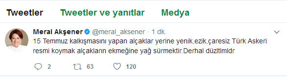 Meral Akşener'den 15 Temmuz afişlerine tepki - Resim : 1